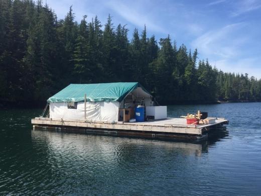 Six Mile River Resort Tagish Exteriör bild